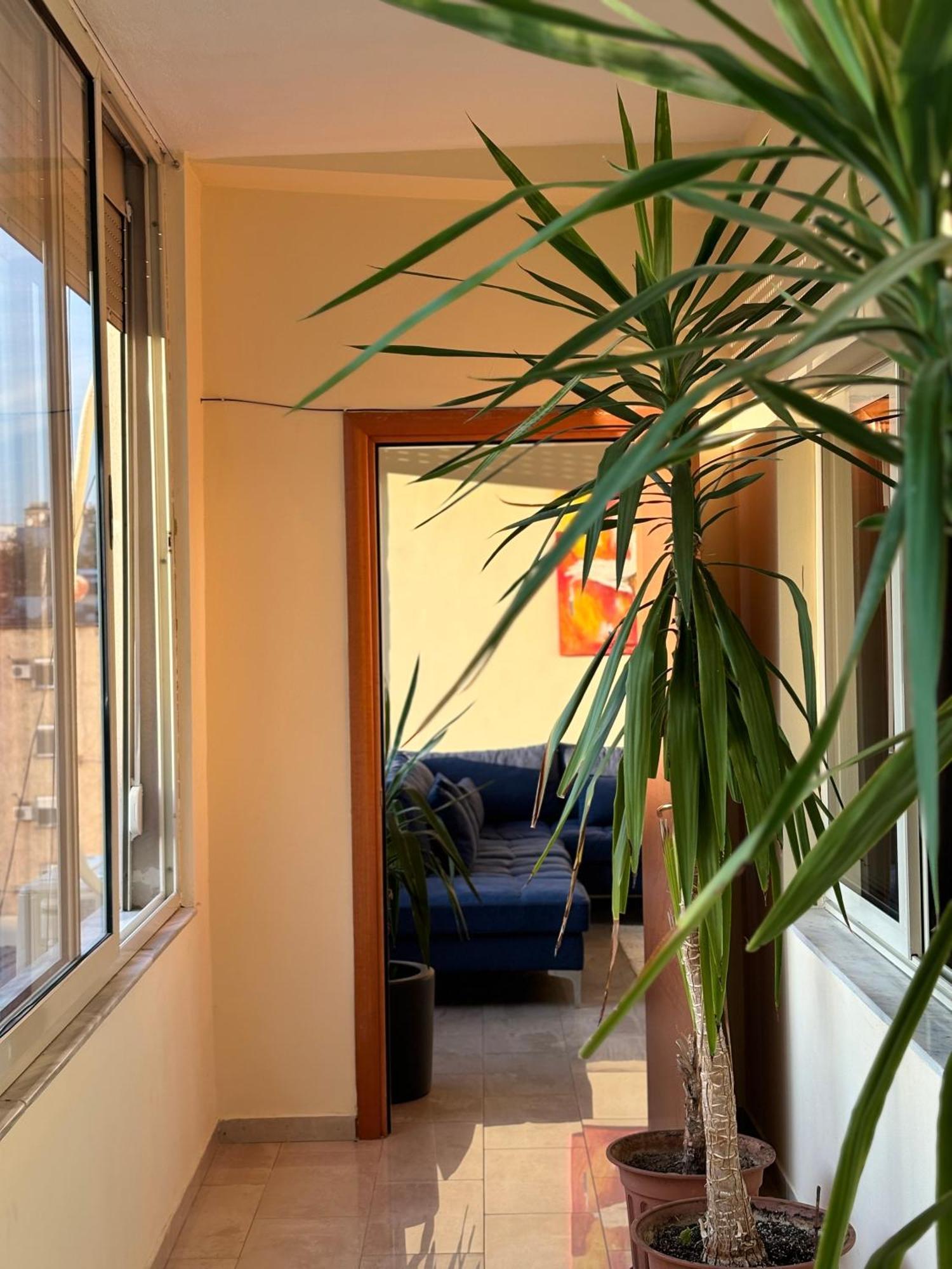 Tam 2Bdr Center Taiwan Apartment Tirana Kültér fotó