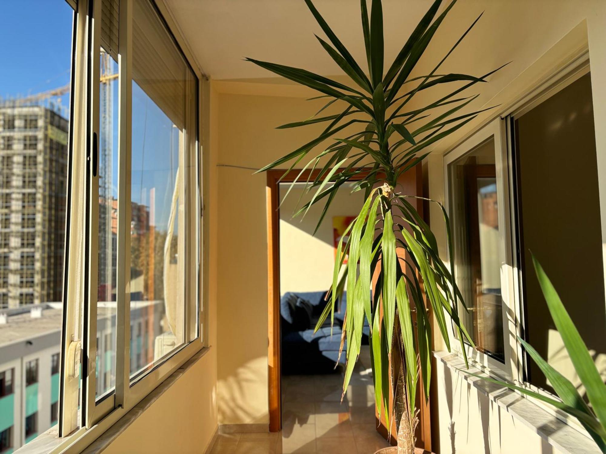 Tam 2Bdr Center Taiwan Apartment Tirana Kültér fotó
